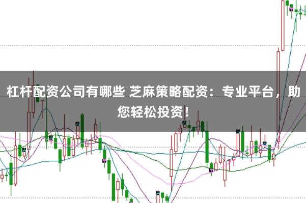 杠杆配资公司有哪些 芝麻策略配资:专业平台,助您轻松投资!