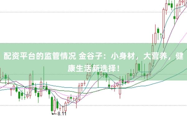 配资平台的监管情况 金谷子：小身材，大营养，健康生活新选择！