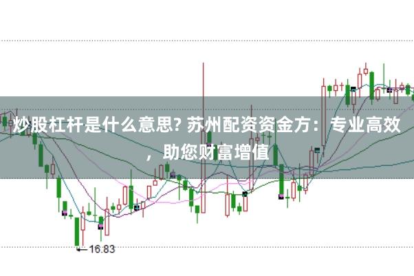 炒股杠杆是什么意思? 苏州配资资金方:专业高效,助您财富增值