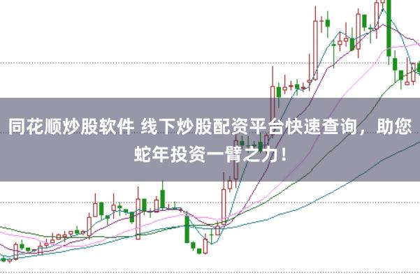 同花顺炒股软件 线下炒股配资平台快速查询，助您蛇年投资一臂之力！