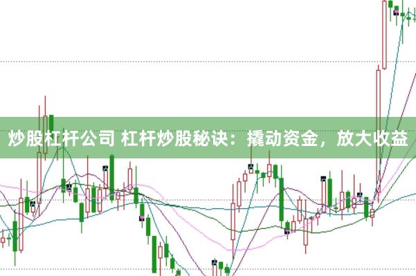 炒股杠杆公司 杠杆炒股秘诀：撬动资金，放大收益