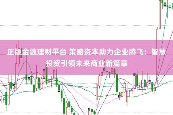 正版金融理财平台 策略资本助力企业腾飞：智慧投资引领未来商业新篇章