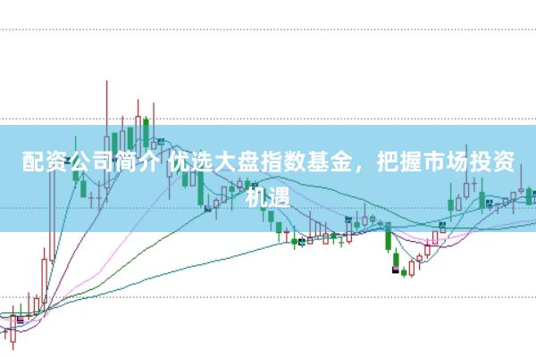 配资公司简介 优选大盘指数基金，把握市场投资机遇