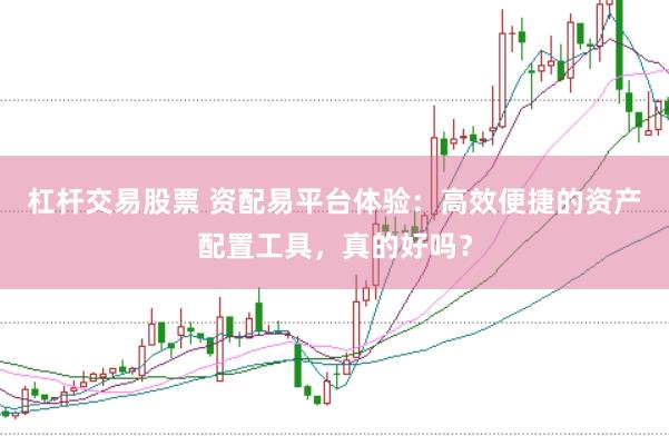 杠杆交易股票 资配易平台体验:高效便捷的资产配置工具,真的好吗?