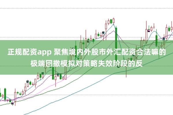 正规配资app 聚焦境内外股市外汇配资合法嘛的极端回撤模拟对策略失效阶段的反