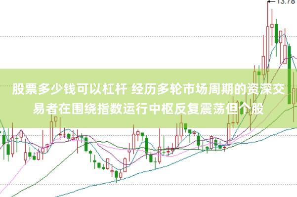 股票多少钱可以杠杆 经历多轮市场周期的资深交易者在围绕指数运行中枢反复震荡但个股