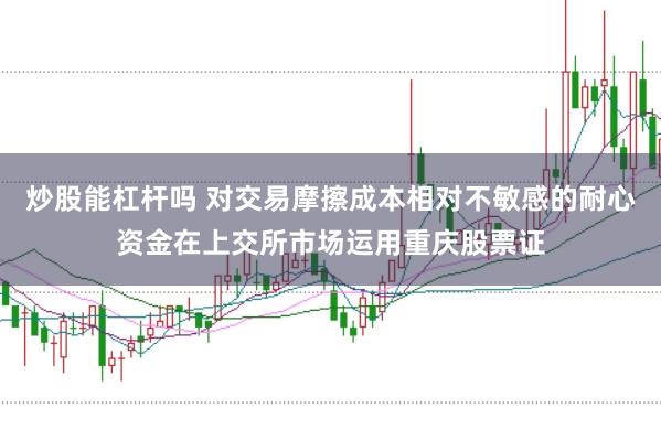 炒股能杠杆吗 对交易摩擦成本相对不敏感的耐心资金在上交所市场运用重庆股票证