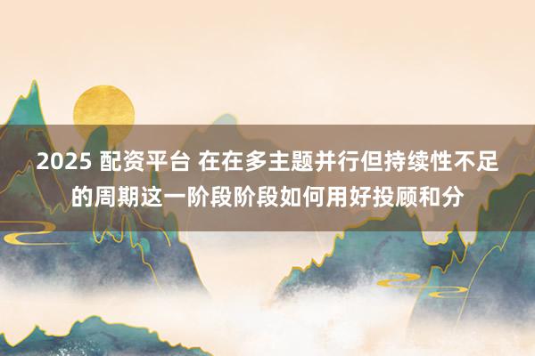 2025 配资平台 在在多主题并行但持续性不足的周期这一阶段阶段如何用好投顾和分