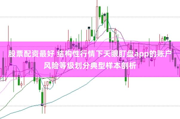 股票配资最好 结构性行情下天眼盯盘app的账户风险等级划分典型样本剖析