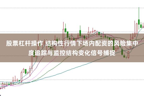 股票杠杆操作 结构性行情下场内配资的风险集中度追踪与监控结构变化信号捕捉