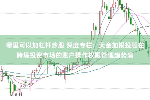 哪里可以加杠杆炒股 深度专栏：天金加银投顾在跨境投资市场的账户操作权限管理趋势演