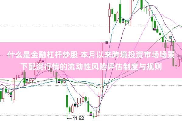 什么是金融杠杆炒股 本月以来跨境投资市场场景下配资行情的流动性风险评估制度与规则