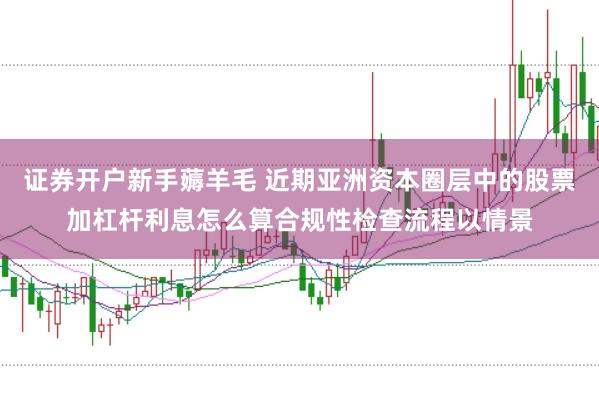 证券开户新手薅羊毛 近期亚洲资本圈层中的股票加杠杆利息怎么算合规性检查流程以情景