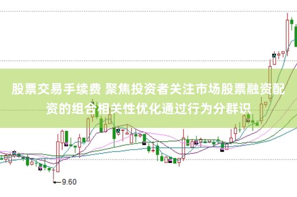 股票交易手续费 聚焦投资者关注市场股票融资配资的组合相关性优化通过行为分群识
