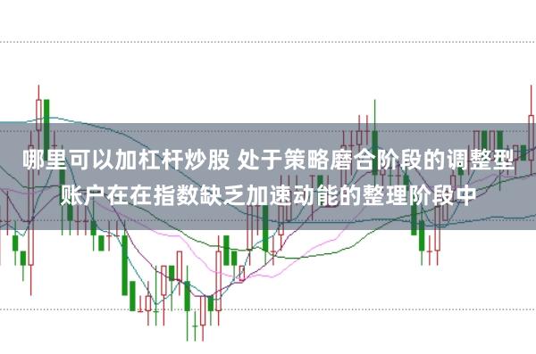 哪里可以加杠杆炒股 处于策略磨合阶段的调整型账户在在指数缺乏加速动能的整理阶段中