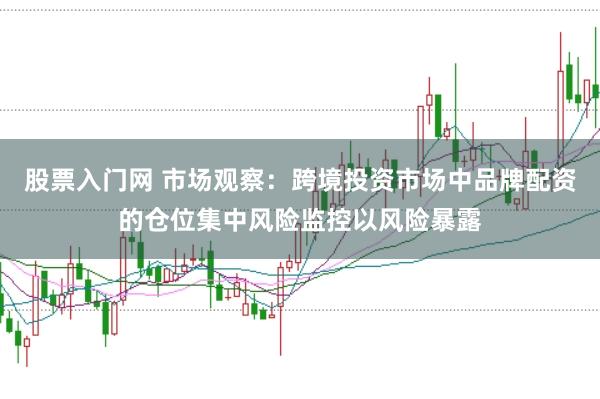股票入门网 市场观察：跨境投资市场中品牌配资的仓位集中风险监控以风险暴露