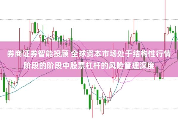 券商证券智能投顾 全球资本市场处于结构性行情阶段的阶段中股票杠杆的风险管理深度