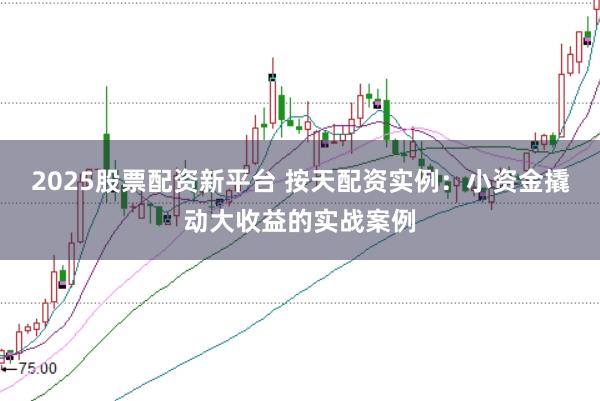 2025股票配资新平台 按天配资实例：小资金撬动大收益的实战案例