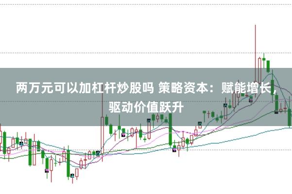 两万元可以加杠杆炒股吗 策略资本：赋能增长，驱动价值跃升