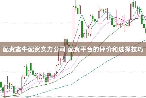配资鑫牛配资实力公司 配资平台的评价和选择技巧