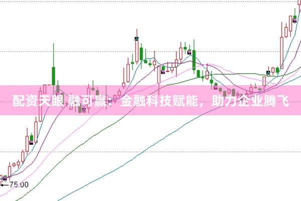 配资天眼 融可赢：金融科技赋能，助力企业腾飞