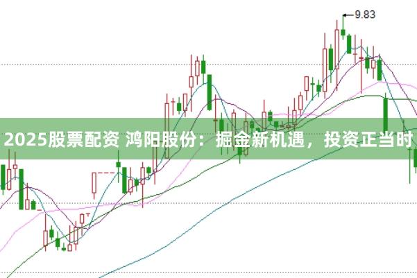 2025股票配资 鸿阳股份：掘金新机遇，投资正当时