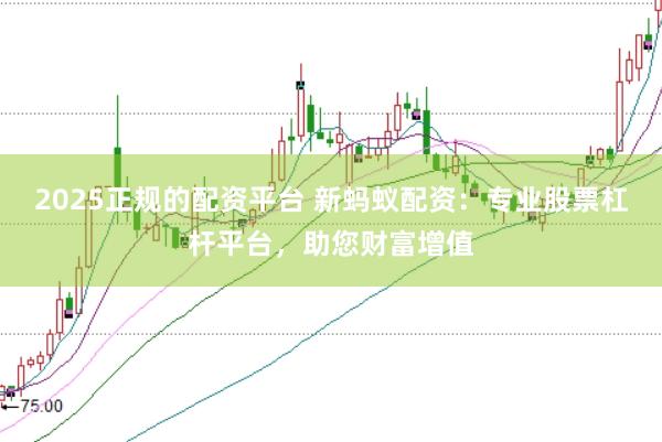 2025正规的配资平台 新蚂蚁配资：专业股票杠杆平台，助您财富增值