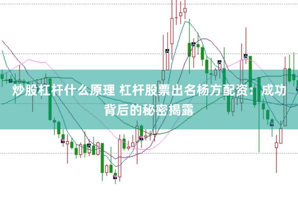 炒股杠杆什么原理 杠杆股票出名杨方配资：成功背后的秘密揭露
