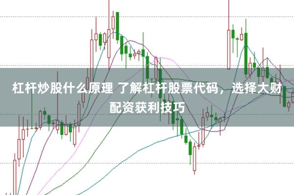 杠杆炒股什么原理 了解杠杆股票代码，选择大财配资获利技巧