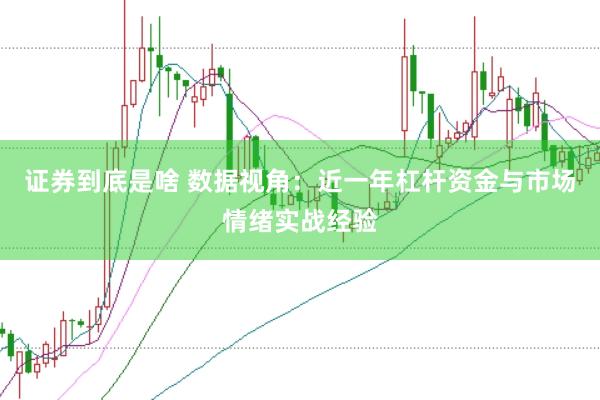 证券到底是啥 数据视角：近一年杠杆资金与市场情绪实战经验