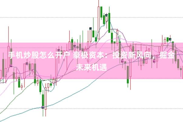 手机炒股怎么开户 豪极资本：投资新风向，掘金未来机遇