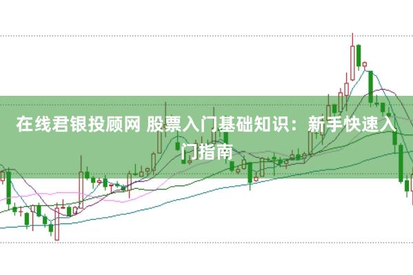 在线君银投顾网 股票入门基础知识：新手快速入门指南