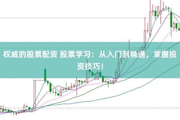 权威的股票配资 股票学习：从入门到精通，掌握投资技巧！