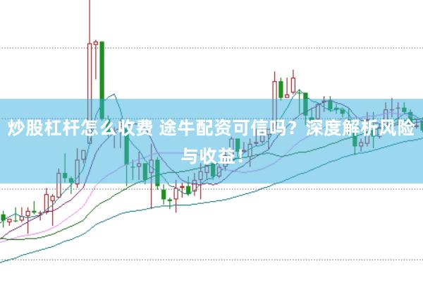 炒股杠杆怎么收费 途牛配资可信吗？深度解析风险与收益！